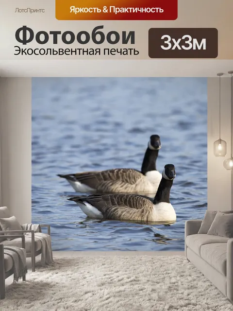 Фотообои Грейлаг Гусь