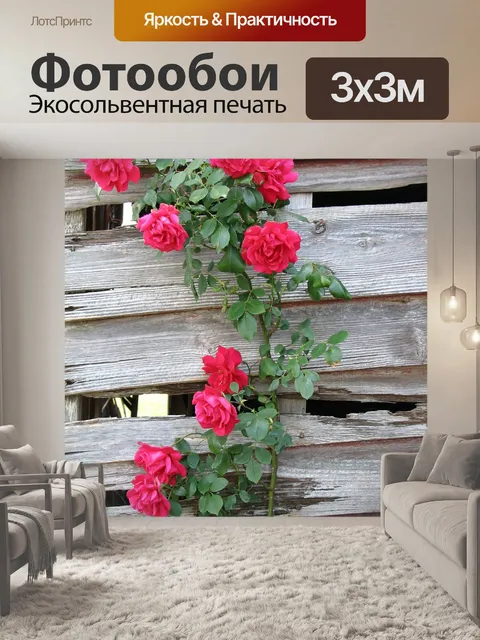 Фотообои Розы
