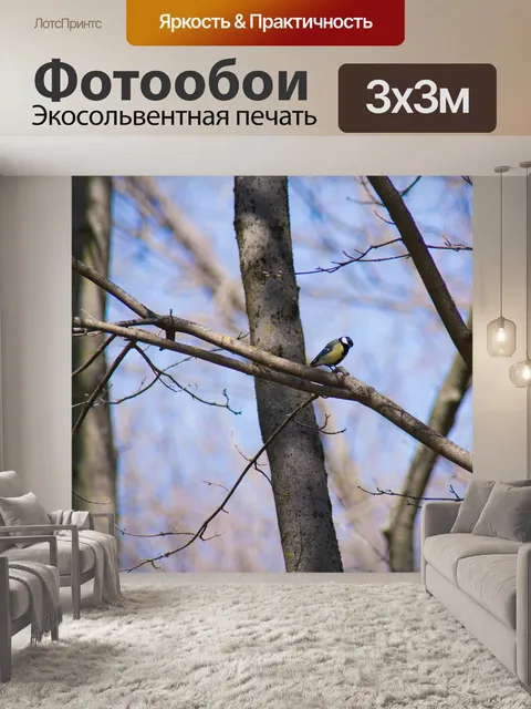 Фотообои Птица