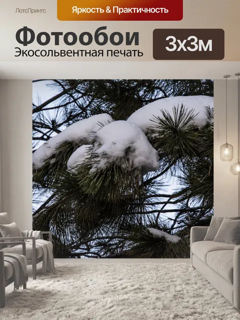 Фотообои Сосновые ветви дерева в снегу