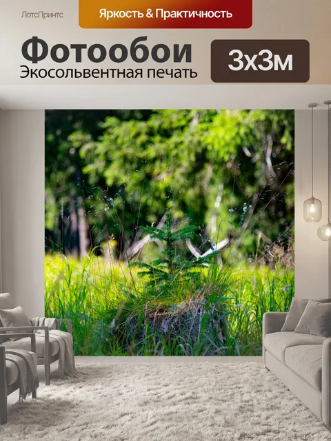 Фотообои лес