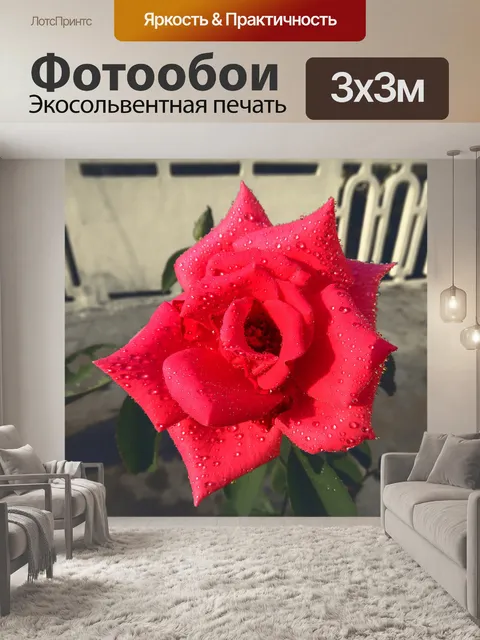 Фотообои Красотой розы
