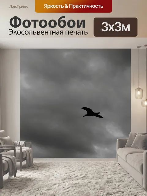 Фотообои Птица