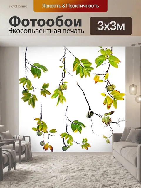 Фотообои Сахар яблоко ветвей с фруктами