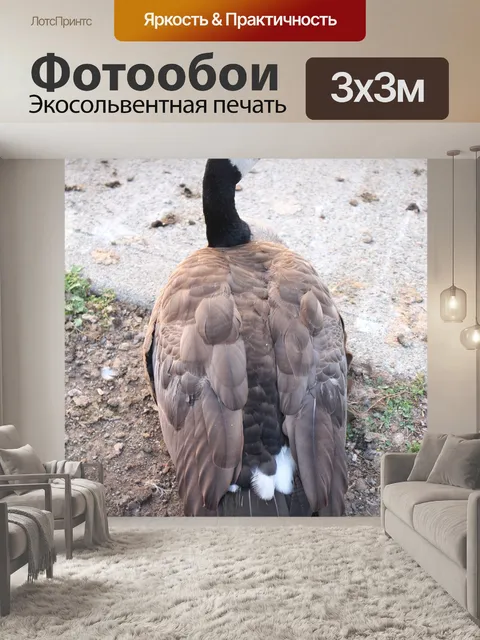 Фотообои Птица