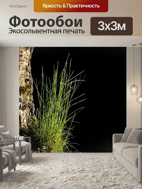 Фотообои Дерево