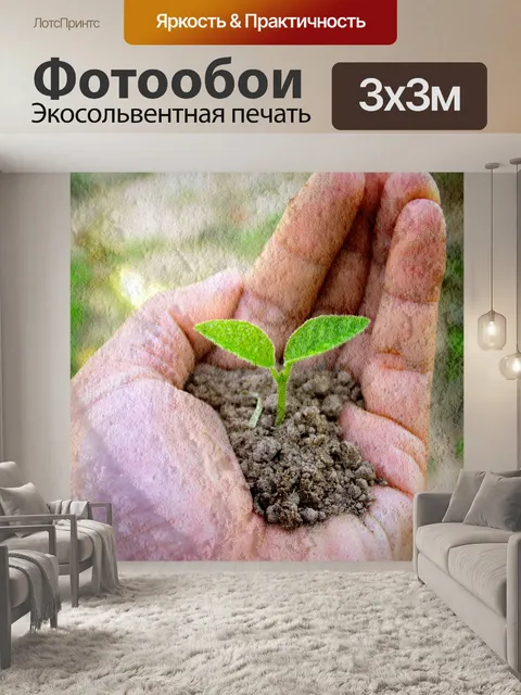 Фотообои Маленькое дерево