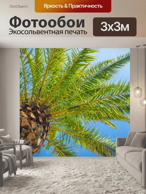 Фотообои Пальмы и голубое небо