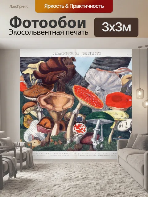 Фотообои Винтажная иллюстрация чемпиона грибов