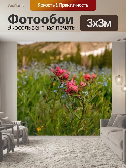 Фотообои Полевые цветы