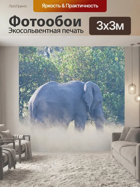 Фотообои африканский слон в длинной траве