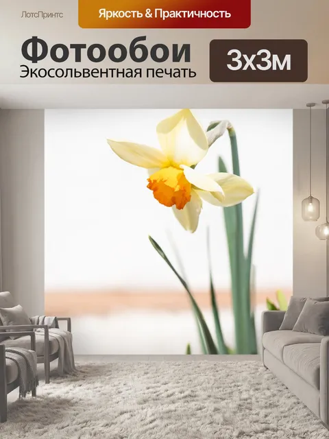 Фотообои Нарцисс