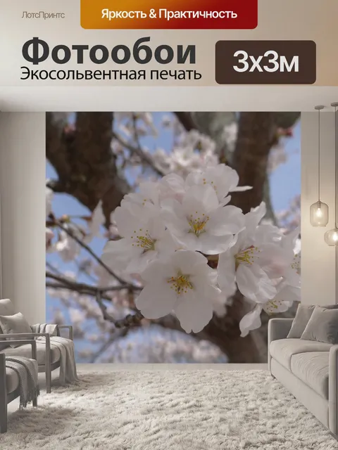 Фотообои Цветы вишни