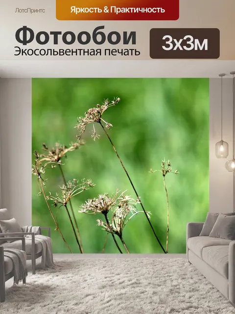Фотообои Растения