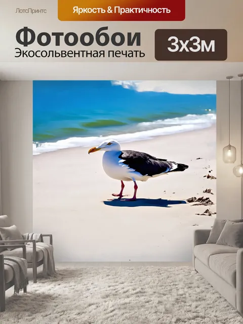 Фотообои на песчаном пляже черноспинная чайка беспечно сканирует окрестности в поисках пищи