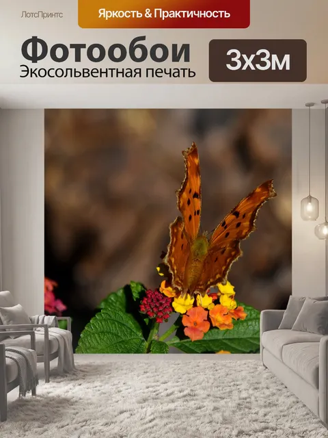 Фотообои Бабочка