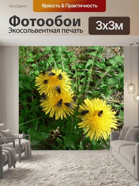 Фотообои Одуванчик