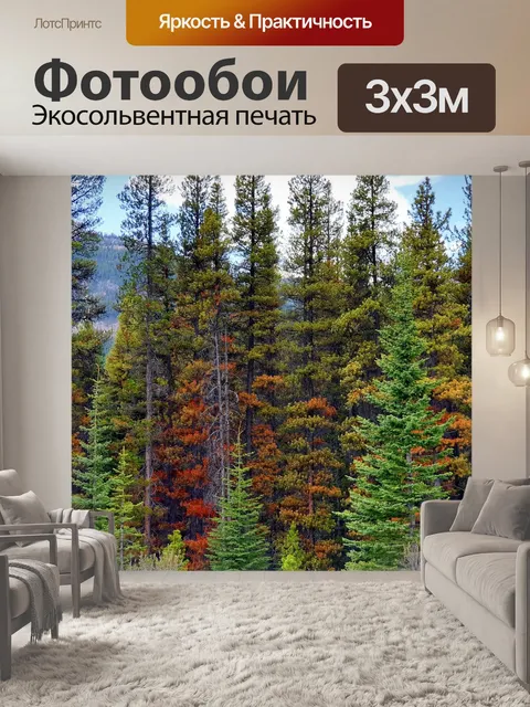 Фотообои Ели