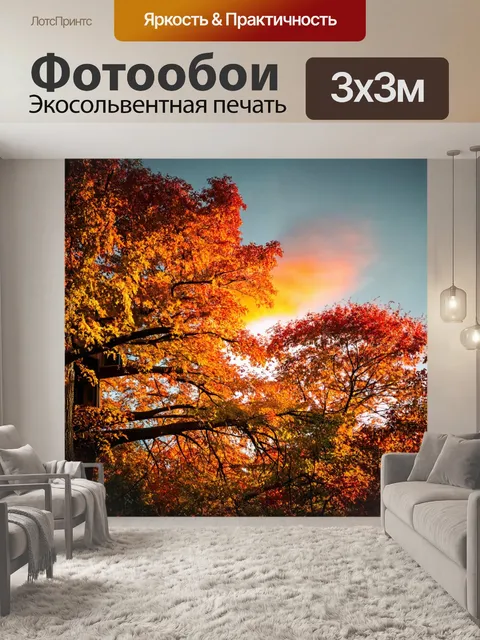 Фотообои осень в хижине на дереве, вид на закат, окружающая природа