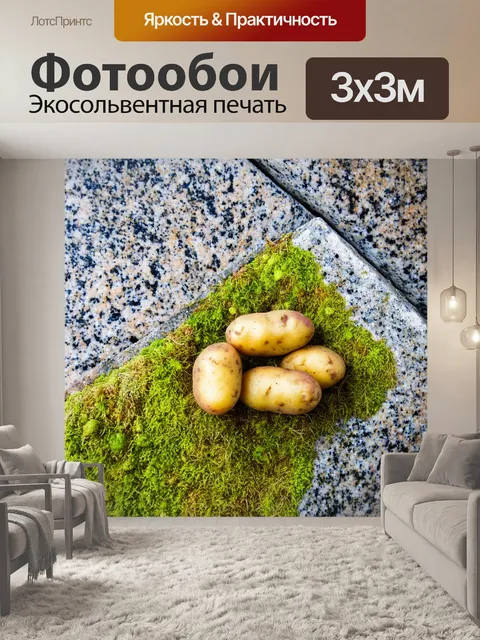 Фотообои природная сцена, где картошка растет среди гранитных камней и мха, как символ силы и жизнеспособности природы