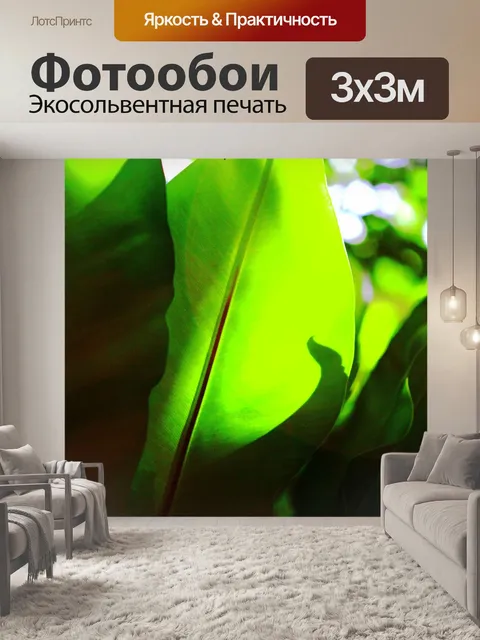 Фотообои Листья