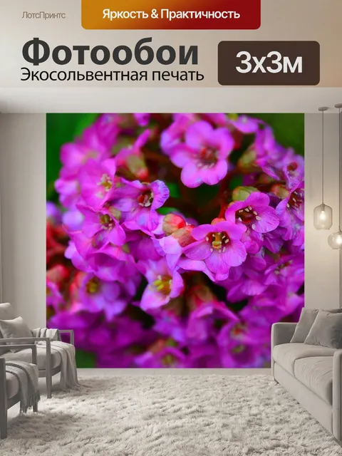 Фотообои Сад