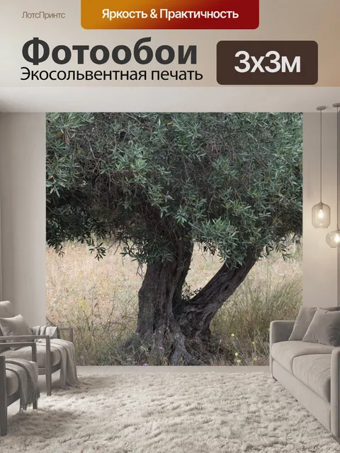 Фотообои Оливковое дерево