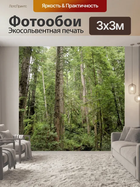 Фотообои Деревья