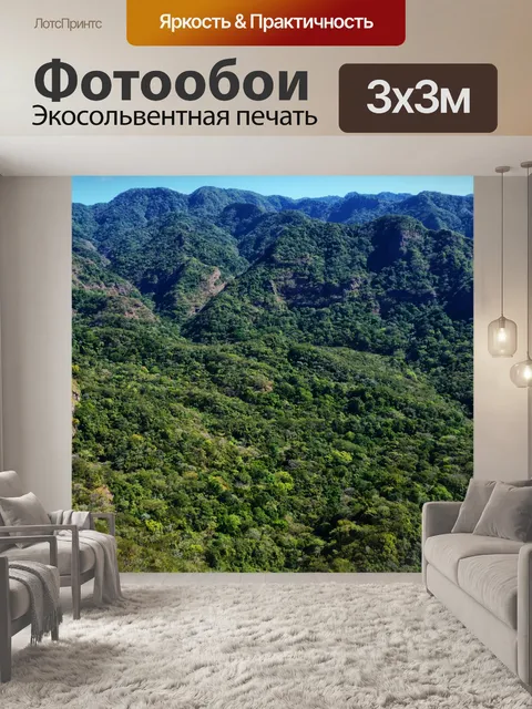 Фотообои Лес