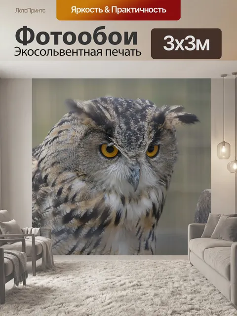 Фотообои Птица