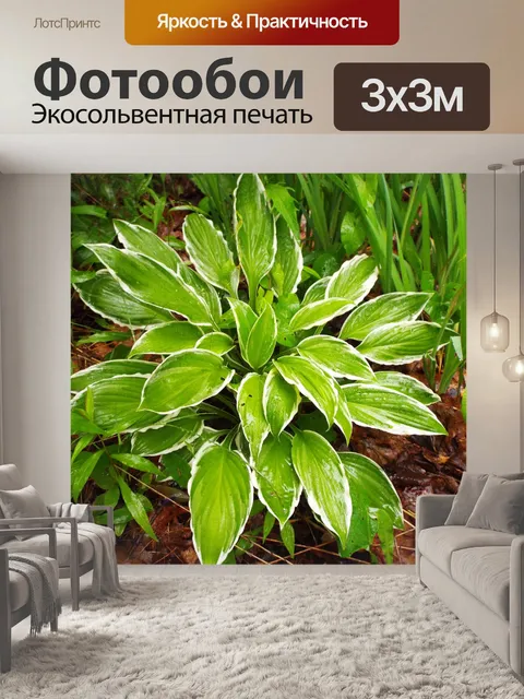 Фотообои растения