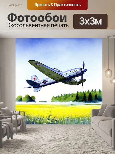 Фотообои передний план старинного самолета туполев