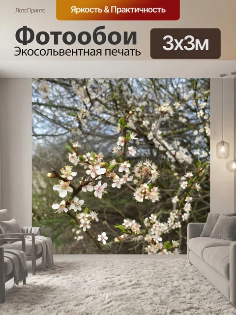 Фотообои Кустарник цветы боярышника природа