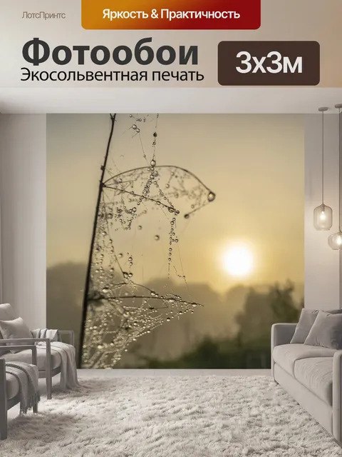 Фотообои Утро
