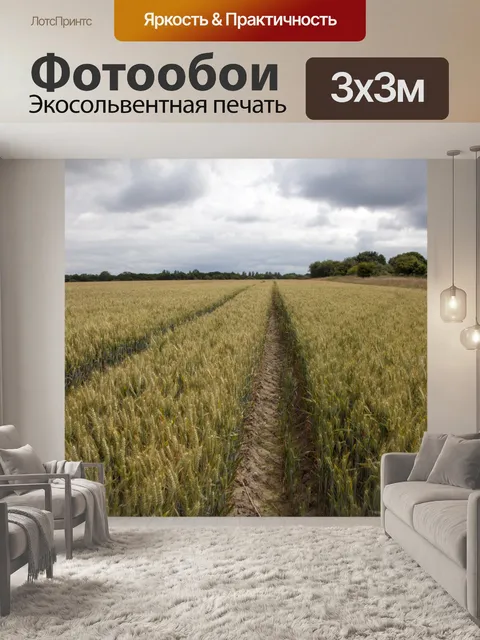 Фотообои Золотое пшеничное поле и солнечный день