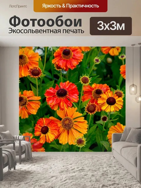 Фотообои Цветы Оранжевый фон