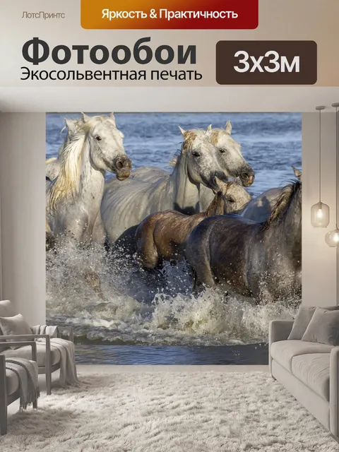 Фотообои Xtian gard