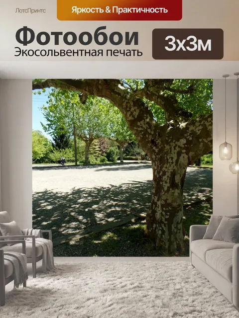 Фотообои Местность Петанка