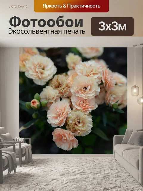 Фотообои Цветы