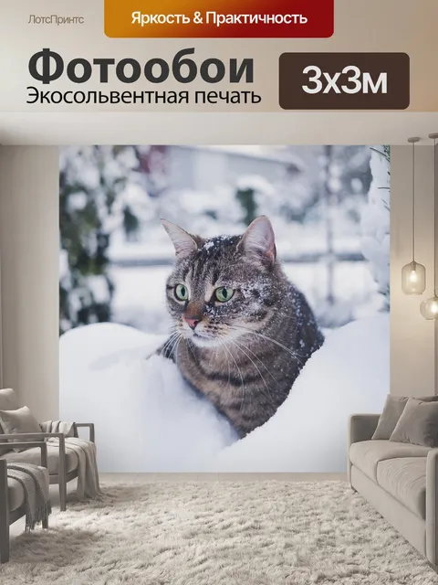 Фотообои Кошка