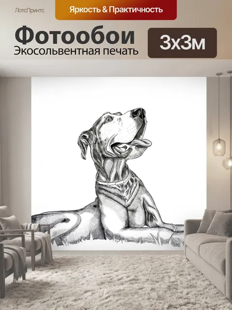 Фотообои Собака
