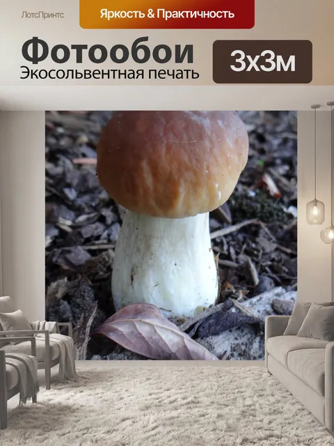 Фотообои Белый reticulatus