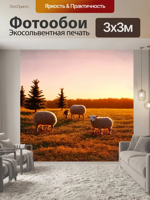 Фотообои вертеп, расположенный на свободном пастбище, освещенный мягким светом заката