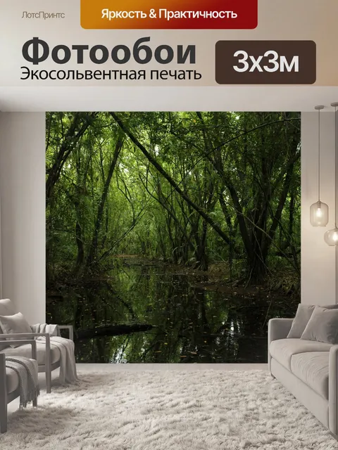 Фотообои Лес