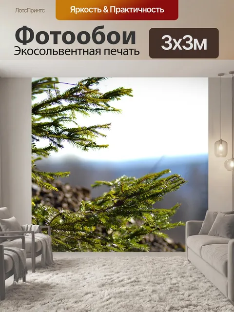 Фотообои Ель