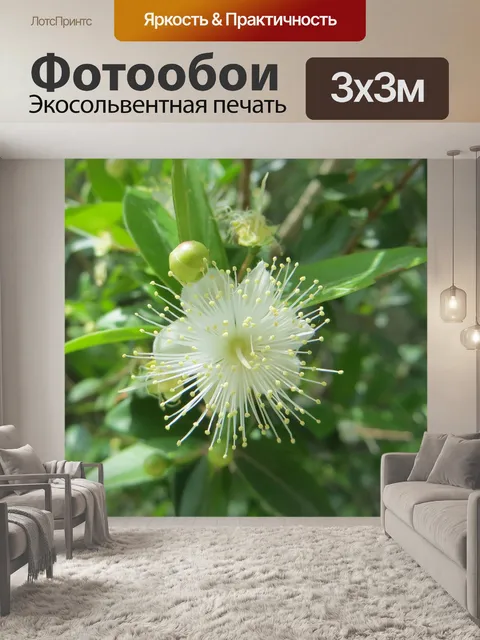 Фотообои Природа