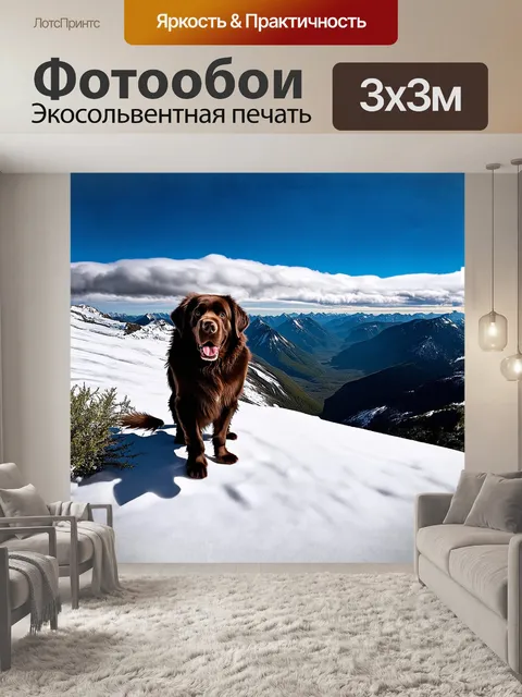 Фотообои ньюфаундленд собака, стоящая на вершине горы, откуда открывается панорамный вид на долину в облаках