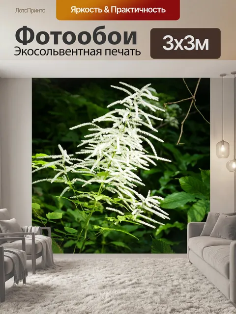 Фотообои Природа