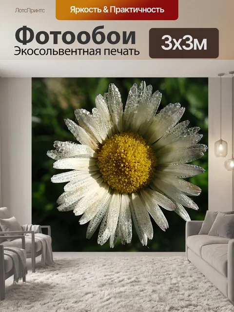 Фотообои Цветок