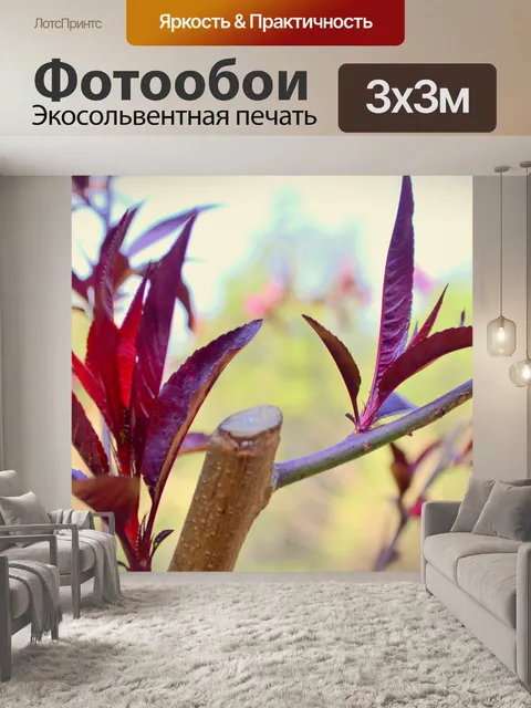 Фотообои Веточки деревьев